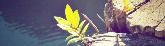 Bandeau du projet test ajout projet